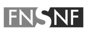 Logo_SNF-Swiss-National-Science-Foundation-400x160-at Swiss-Battery-swissbattery.com